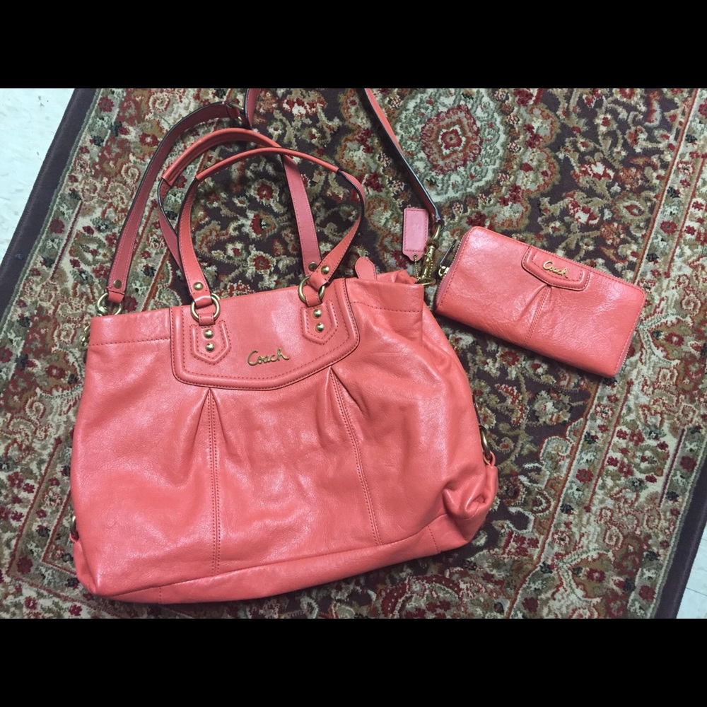 Coach Bag/Wallet